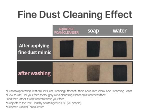 Aqua Rice Foam Cleanser