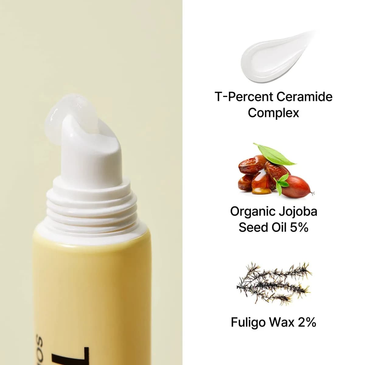 SOLID IN Ceramide Lip Essence